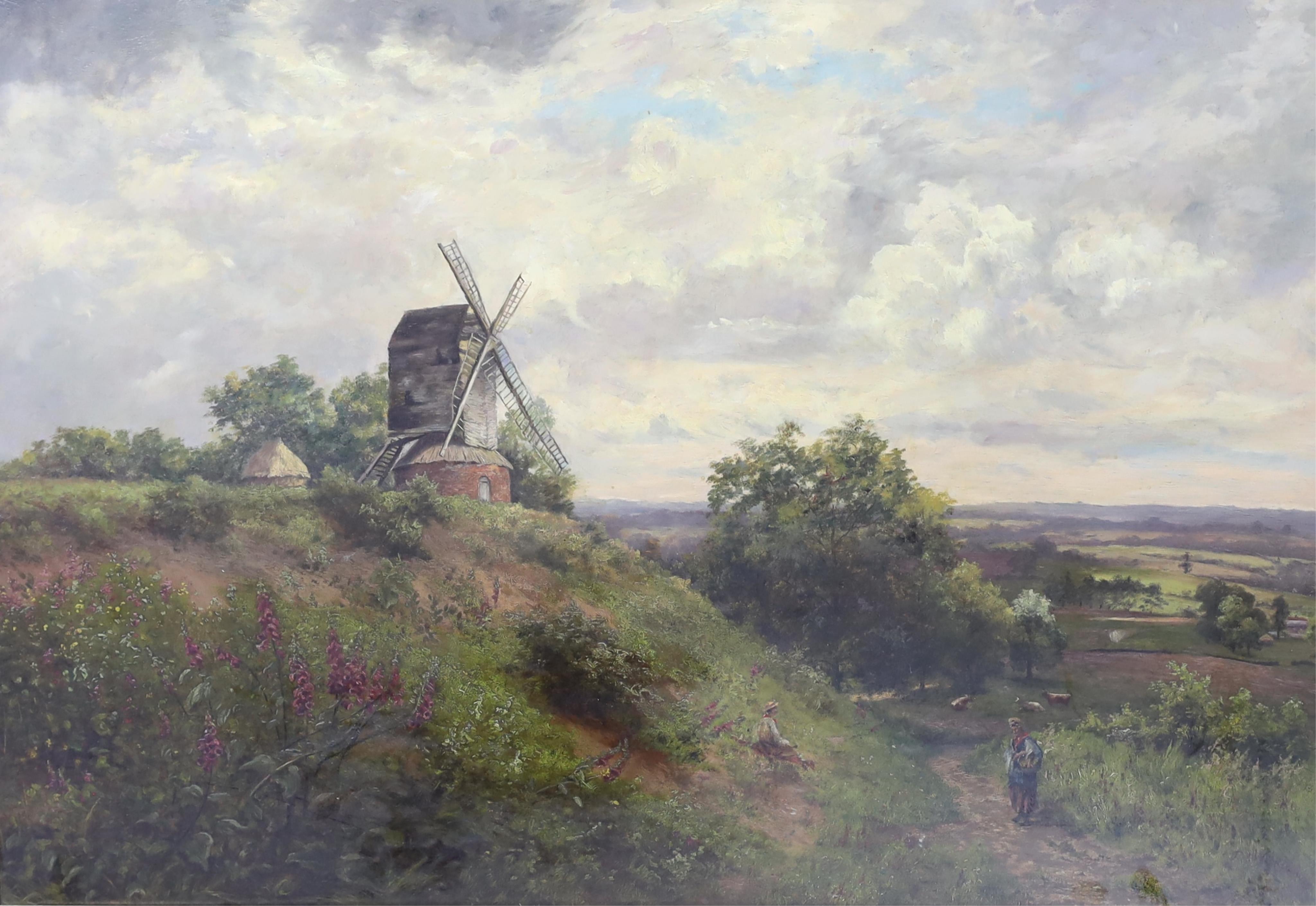 J F Wilkinson (19th. C), oil on canvas, 'Mid Surrey Hill', signed, 67 x 97cm. Condition - fair, restored and relined